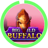 Big Wild Buffalo