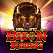 bison-rising