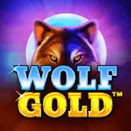 wolf-gold